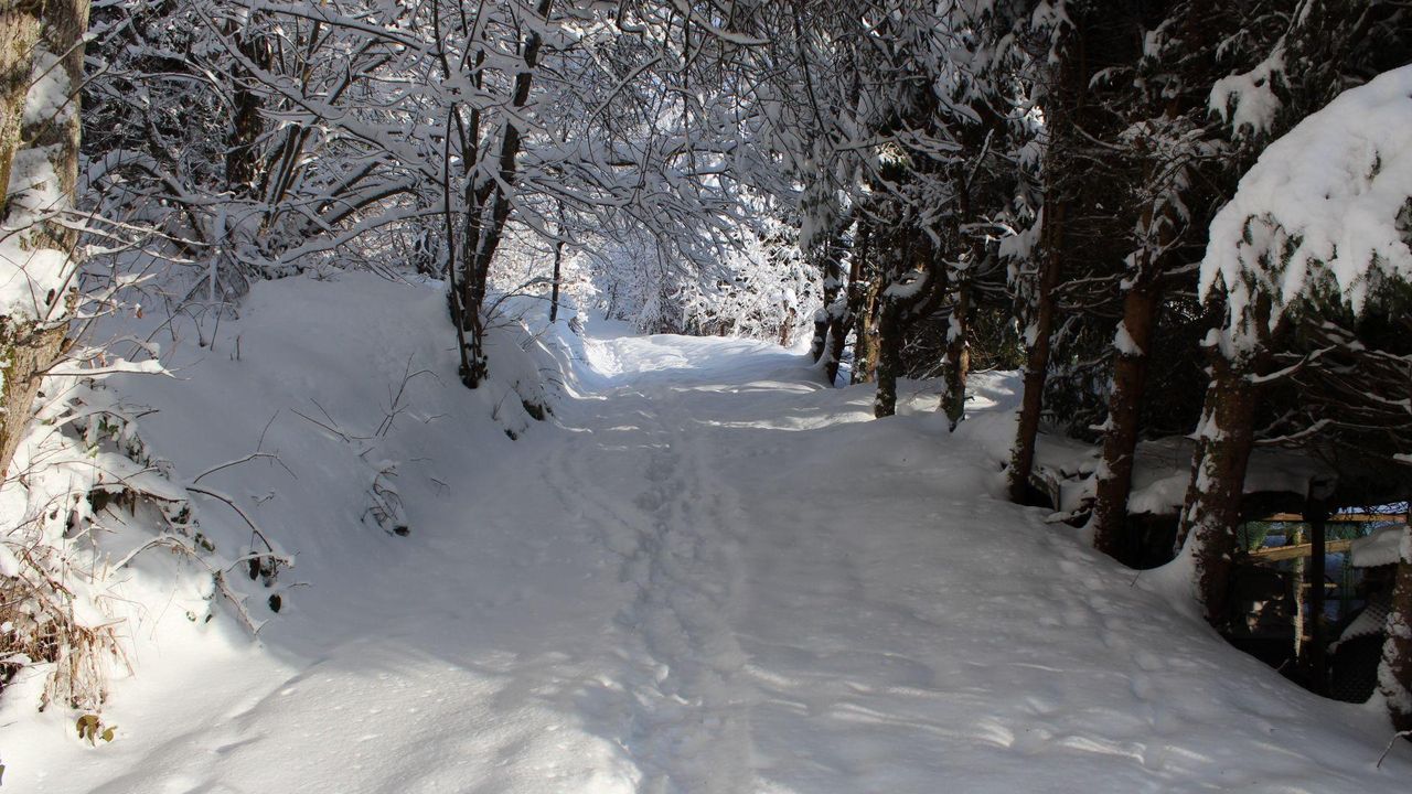 Direkte Umgebung des Objekts. Waldweg direkt neben der Ferienwohnung Direkte Umgebung des Objekts. Waldweg direkt neben der Ferienwohnung